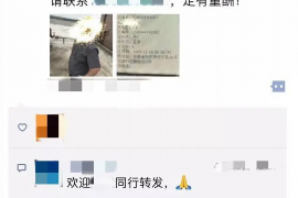 魏县贷款清欠服务